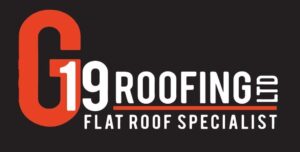 G19 logo